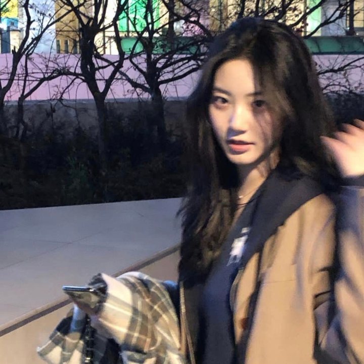叔比狗疯狂摔角大奇案